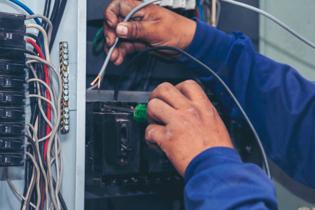 Best Affordable Electrician  in Petal, MS